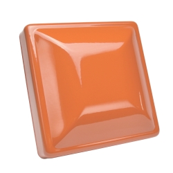 Coral Orange Coral, Orange, salmon, pink
