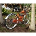 Dormant Orange - D1697001