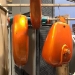 Dormant Orange - D1697001
