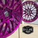 Dormant Purple - D1795006