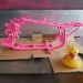 Neon Pink - F1796001