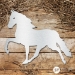 Walking Horse - W-HORSE-12-G